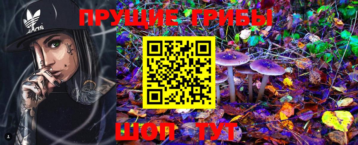 купить наркотики сайты  Псилоцибиновые грибы ЛСД  Вышний Волочёк  Псилоцибиновые грибы мухоморы 