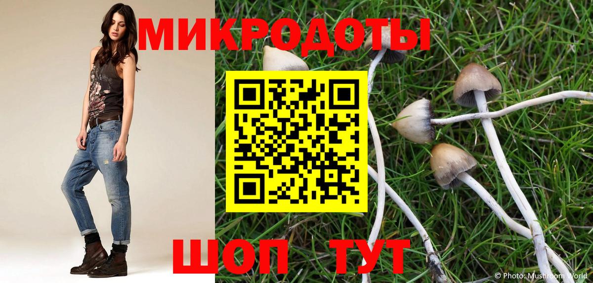 Псилоцибиновые грибы Cubensis Вышний Волочёк