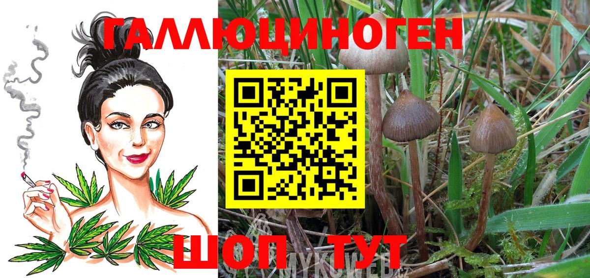 магазин продажи наркотиков  Галлюциногенные грибы ЛСД  Вышний Волочёк  Вход с VPN  Псилоцибиновые грибы ЛСД 